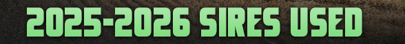 2023 Sires Used