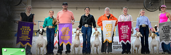 Pence Show Goats